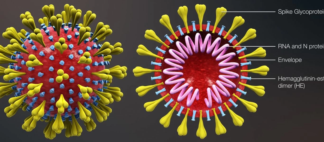 Καναδάς: Στις 12.924 ανήλθαν τα επιβεβαιωμένα κρούσματα κορωνοϊού - 214 οι νεκροί